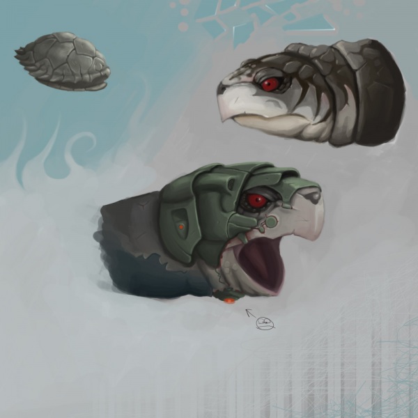 Turtle heads designs